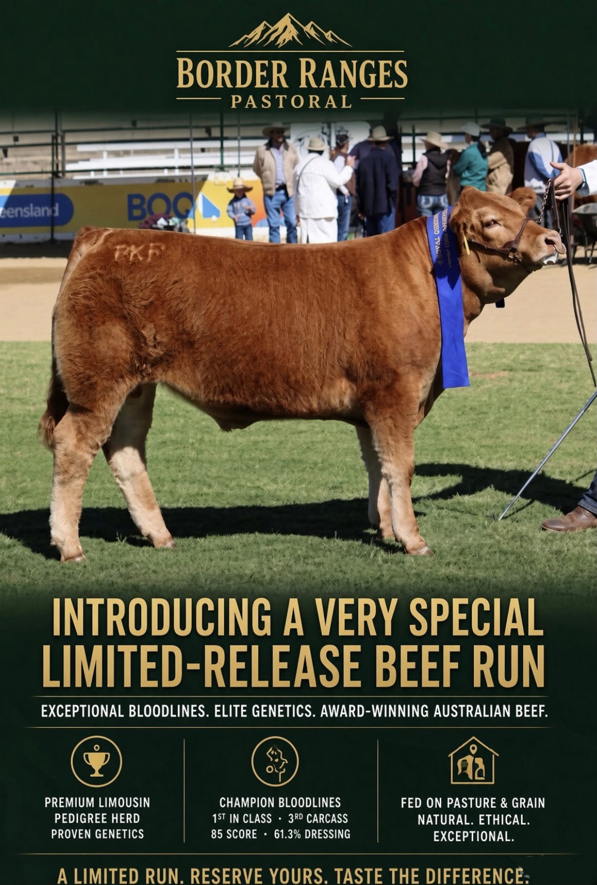EKKA SPECIAL - BULK BEEF ANIMAL SHARE